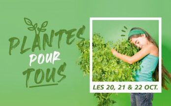 LESCHAMPS-vignettesite-plantespourtous-oct